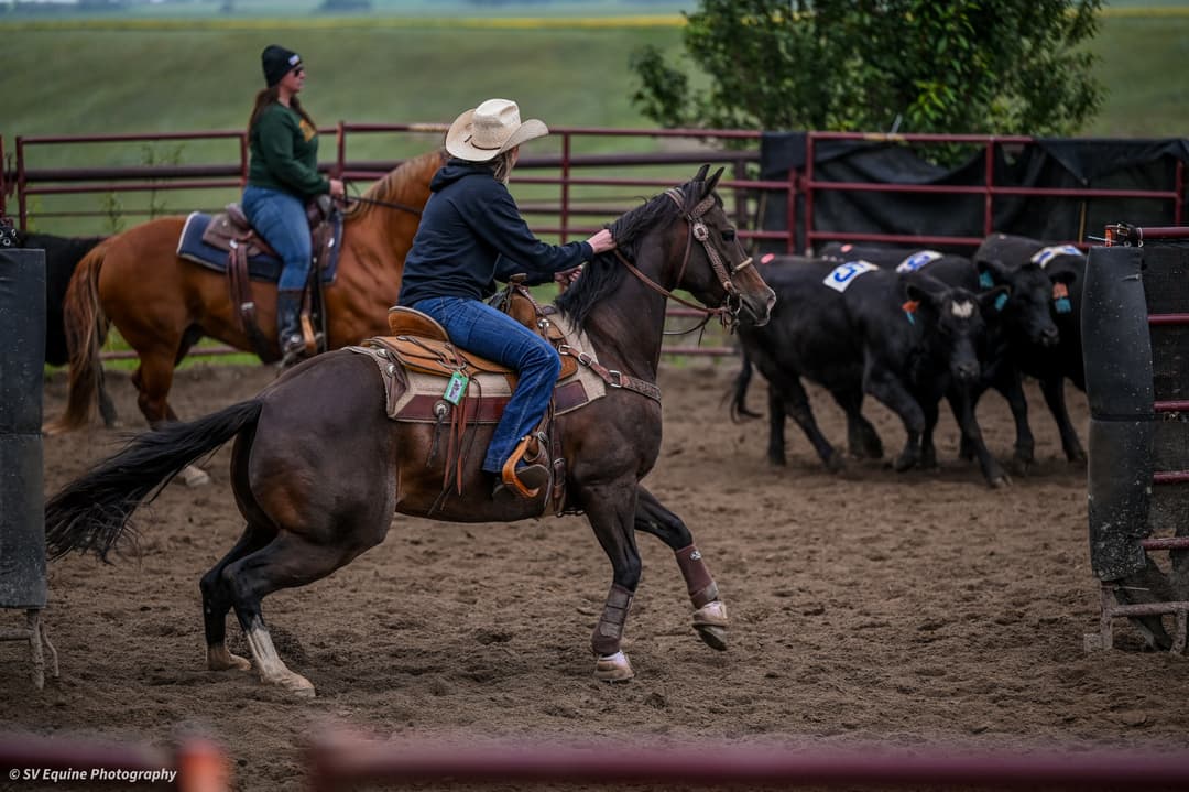 Canadian Ranch Sorting Finals