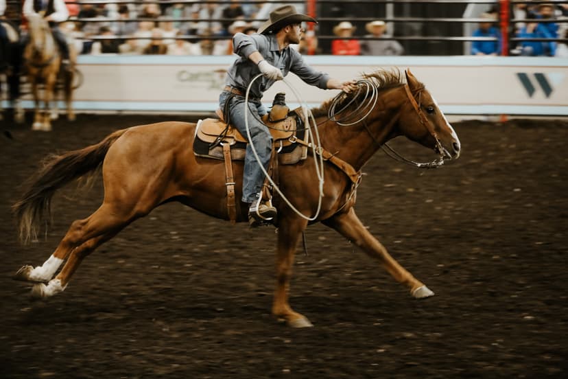 Cinch Canadian Country Expo